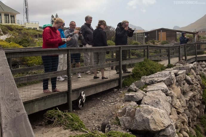 Quantidade máxima de turistas juntos