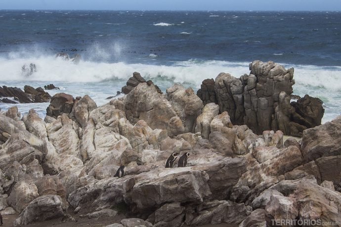Vento deixa mar agitado em Betty's Bay