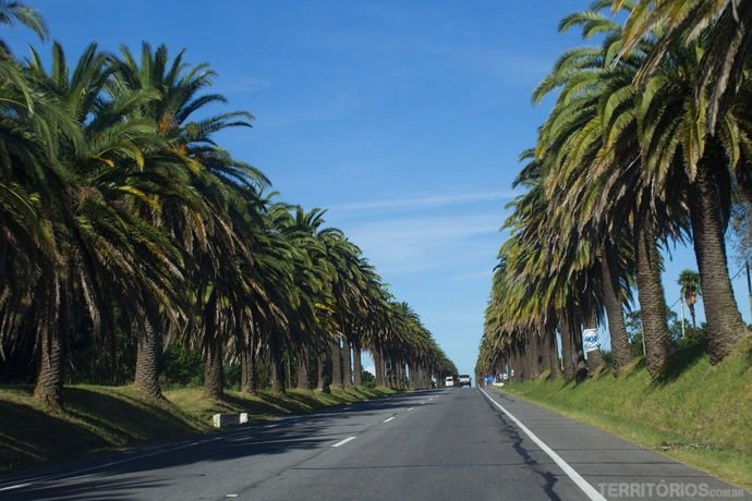 Ruta 1 saindo de Colônia de Sacramento em direção à Montevidéu