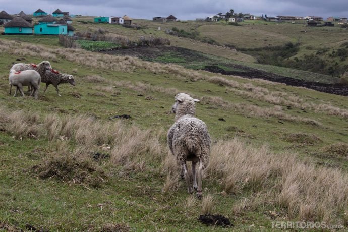 Zona rural de Coffee Bay e as casas redondas