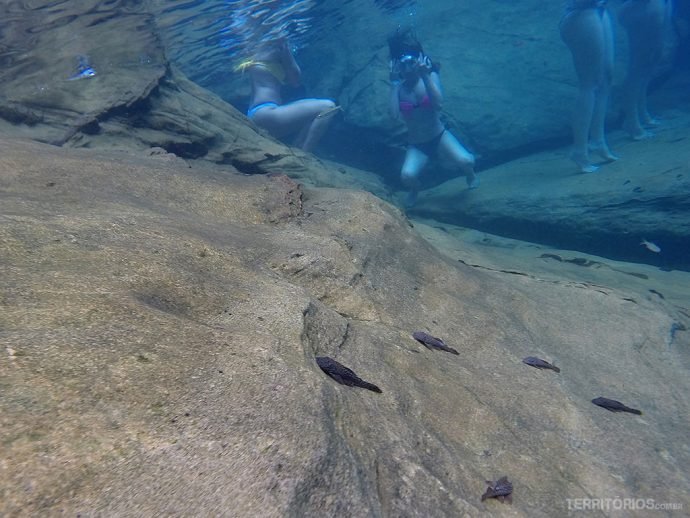 Parece que os peixes estão fora d'água e os humanos não, mas é tudo dentro do Poço Azul
