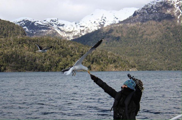 O meu momento com a gaivota foi registrado pela Mariana Amaral, do Viaje na Viagem