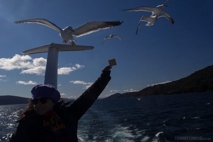 Passageiros se divertem com as gaivotas