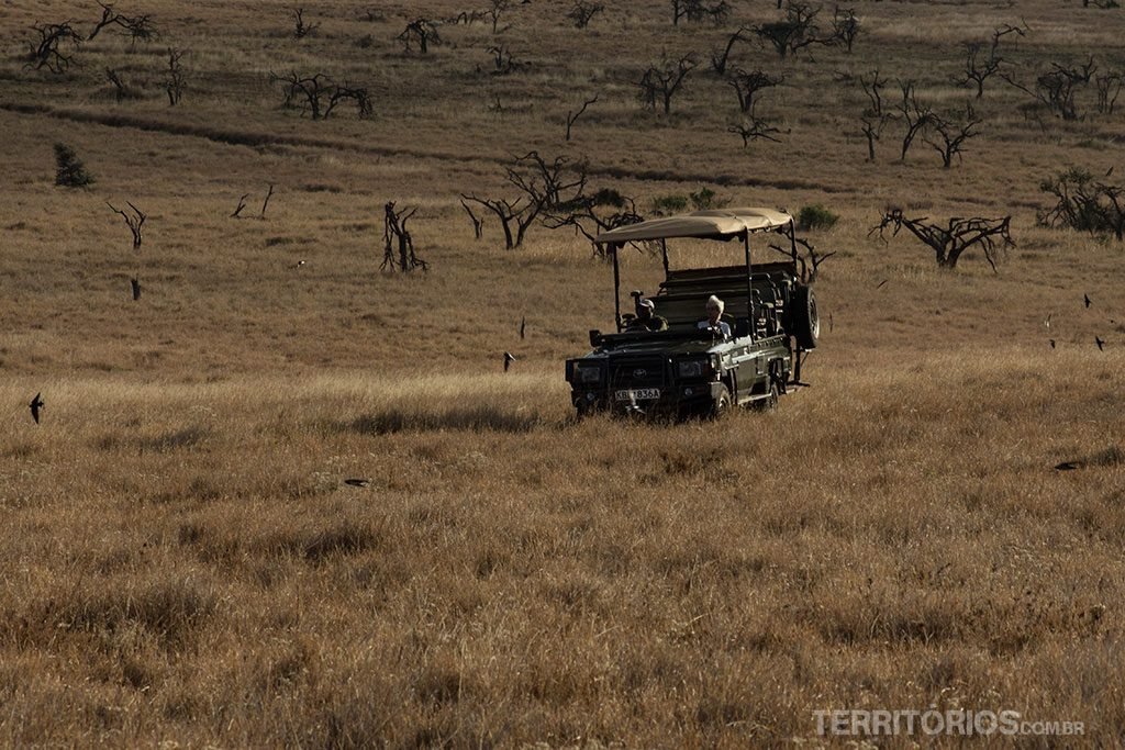 Safari 4x4 em Lewa