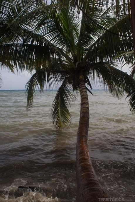 Água do mar em Providência depois da chuva. Agora observe o normal na última foto desta página Água do mar em Providência depois da chuva. Agora observe o normal na última foto desta página