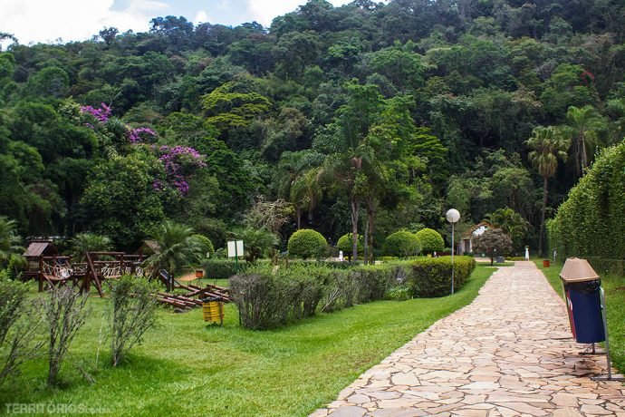 Mata nativa dentro do parque