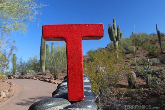 T no Desert Botanical Garden, em Phoenix