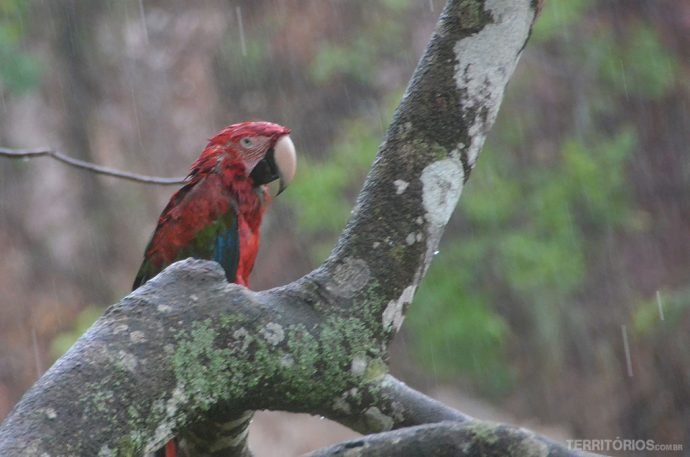 O famoso Buraco das Araras perde a graça na chuva