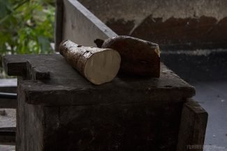 A mandioca A mandioca