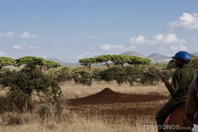 O guia, um formigueiro gigante e a paisagem