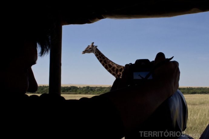 Não perca a oportunidade única de fotografar animais de perto. Leve uma boa câmera