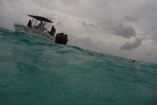 Nos puxavam com a boia na preguiça de nadar até o barco Nos puxavam com a boia na preguiça de nadar até o barco