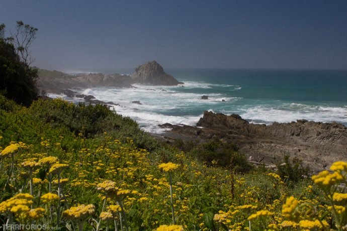 África do Sul é dica para viajar em novembro