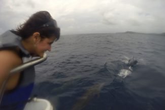 Feliz da vida com os golfinhos Feliz da vida com os golfinhos