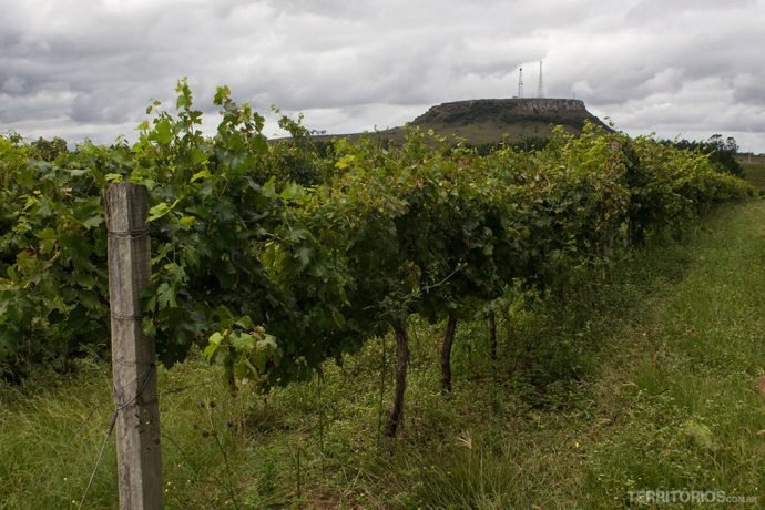 Vista da Vitivinícola Cordilheira de Santana na Ferradura dos Vinhedos