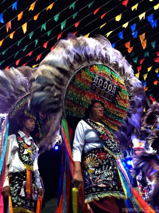 Influências dos Índios, africanos, europeus... Influências dos Índios, africanos, europeus...