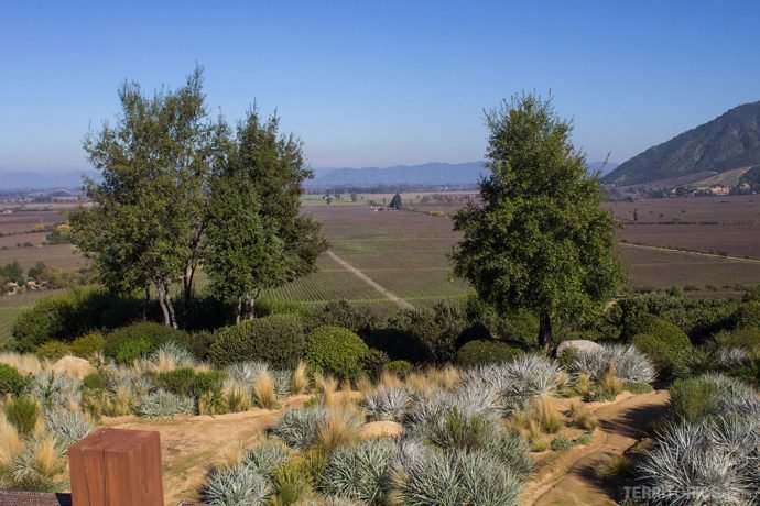 A vista para o jardim e vinhas na casa principal
