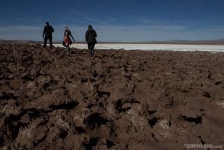 Equilíbrio para caminhar com cuidado na crosta de sal Equilíbrio para caminhar com cuidado na crosta de sal