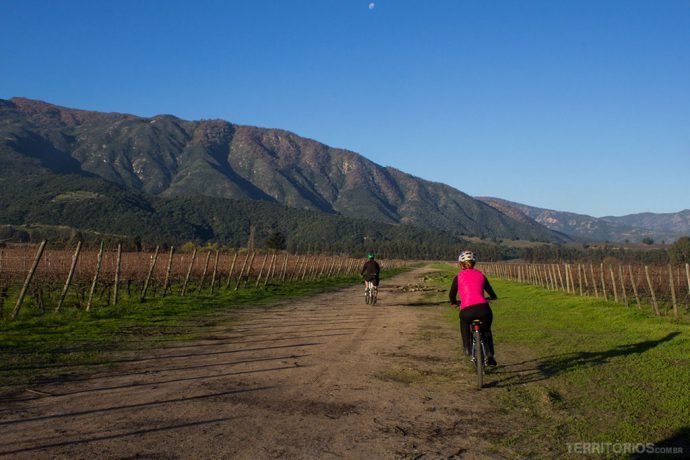 Estradas de terra entre os vinhedos