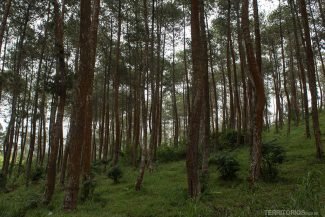 Cenário nebuloso na serra da ilha de Java Cenário nebuloso na serra da ilha de Java
