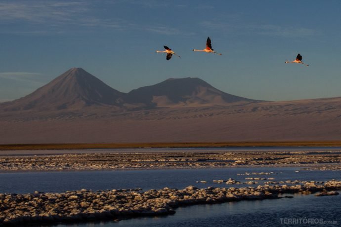 Lagoa Tebinquiche, parte do Salar de Atacama em San Pedro de Atacama - Chile