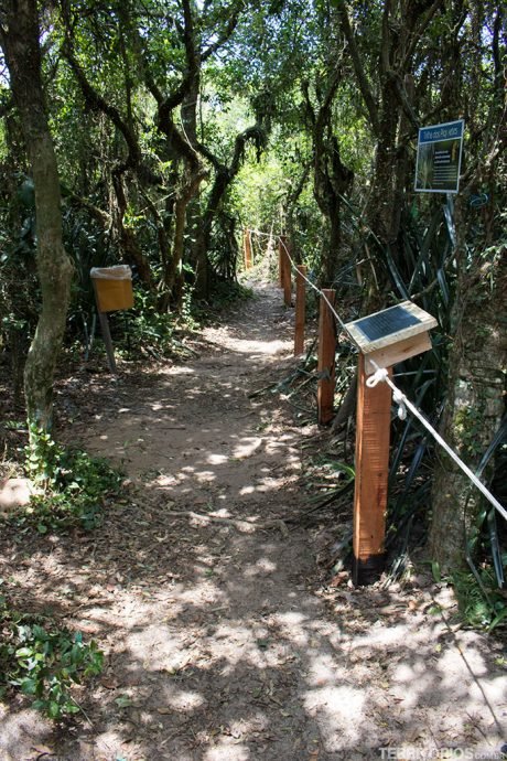 Trilha acessível com cordas e placas em braile é montada por agendamento Trilha acessível com cordas e placas em braile é montada por agendamento
