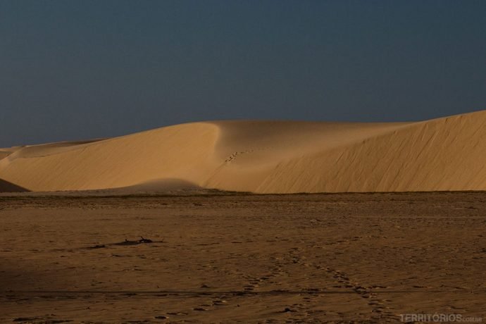 O vento cria belas formas nas dunas
