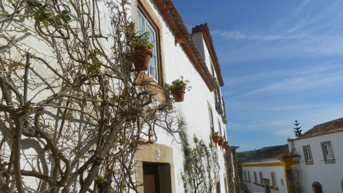 Flores nas janelas de Óbidos
