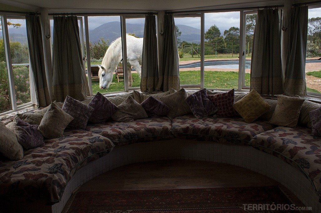 Hotel, hostel, lodge e guest house