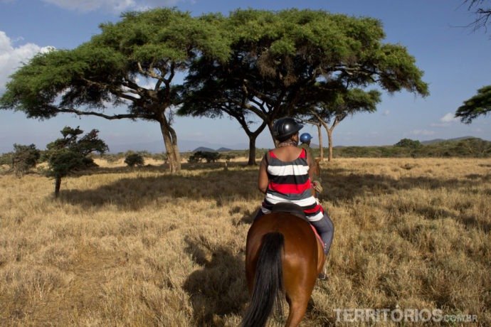 Safari a cavalo no Lewa Wildlife Conservancy Safari a cavalo no Lewa Wildlife Conservancy