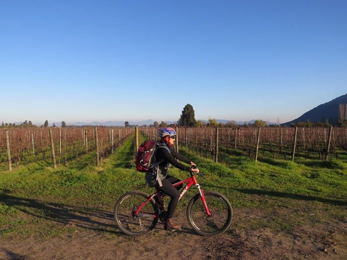 Bicicleta e vinho quente