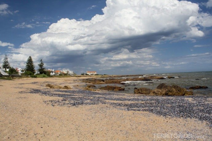 Praia na Barra Praia em La Barra, Maldonado - Uruguai