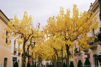 Outlet próximo a Barcelona Outlet próximo a Barcelona