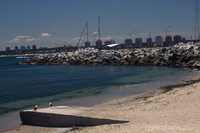 Vista para o porto e Praia Mansa Punta del este