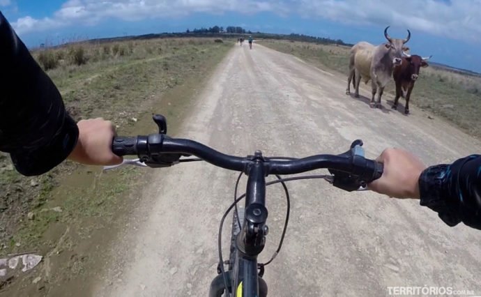 Bike downhill