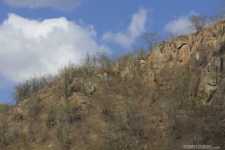 A caatinga na Rota do Cangaço