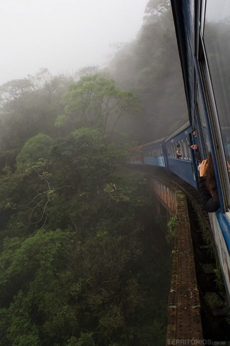 Cercados pela mata atlântica Cercados pela mata atlântica