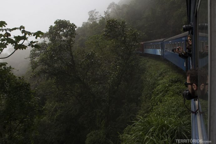 Cabeça pra fora em busca das melhores fotos