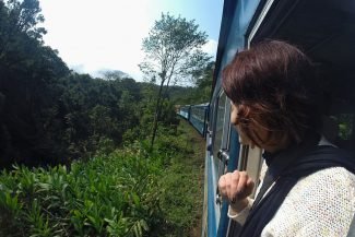 Roberta no trem da Serra do Mar Estado do Paraná