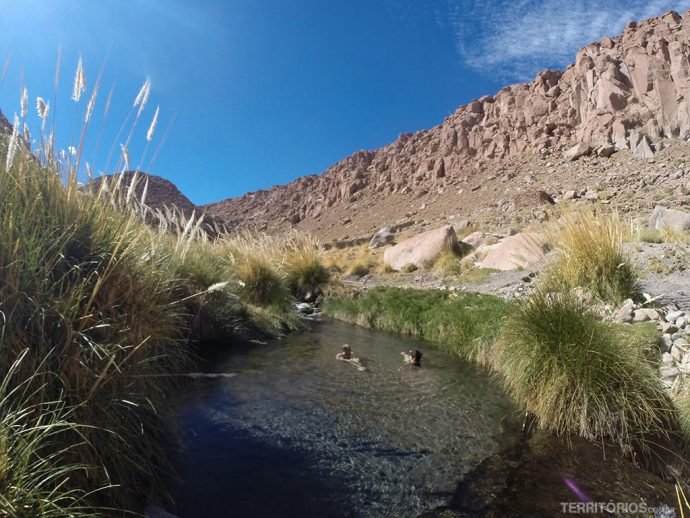 Termas de Puritama