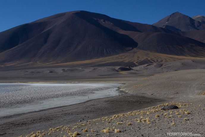 Lagunas Altiplanicas