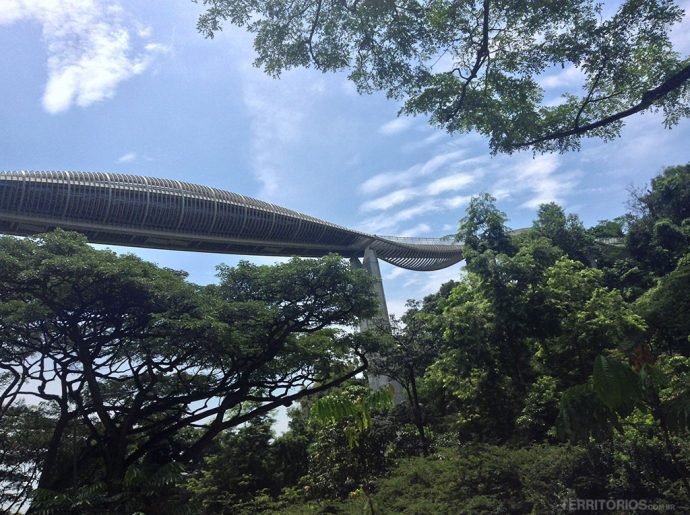 Ponte Henderson Waves