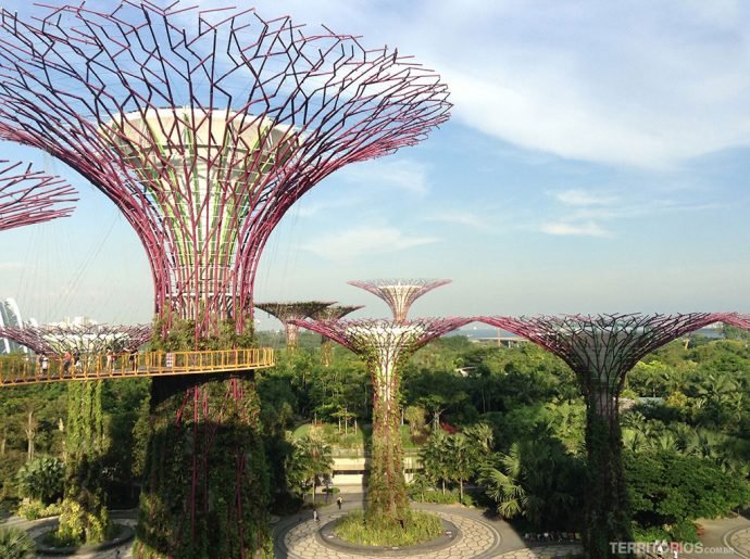 SuperTrees do Gardens by the Bay