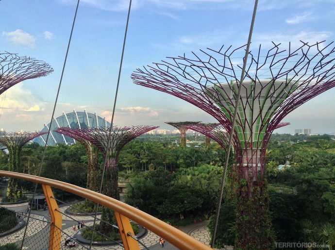 Cloud Forest visto do Skyway