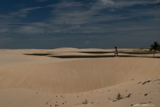 Dunas e lagoas a perder de vista no mês de junho Dunas e lagoas a perder de vista no mês de junho