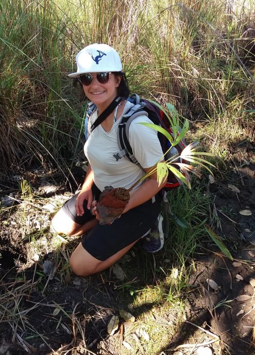 Plantando uma árvore no cerrado Plantando uma árvore no cerrado