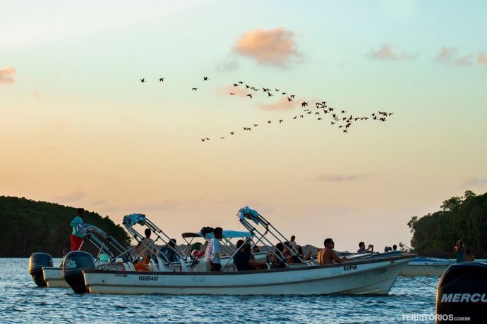 Barcos de turistas para ver a revoada dos guarás