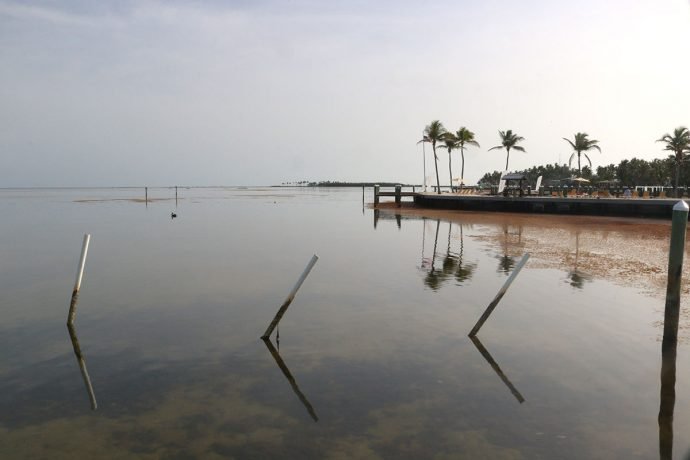 Praia privativa do resort