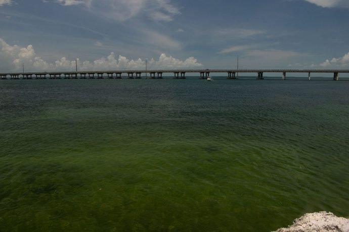 A ponte Seven Mile Bridge