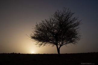 Pôr do sol na Reserva da Biosfera Dana